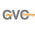 Генеральный детектор GVS Holdings подал в отставку